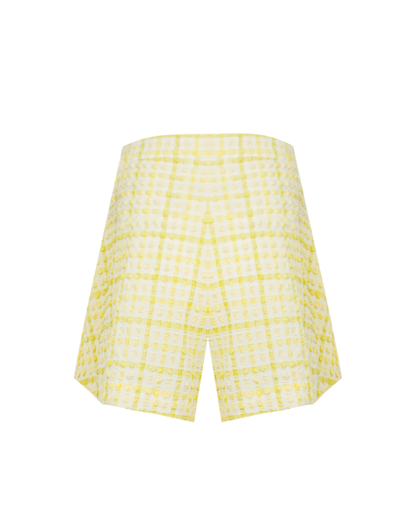 0000357_flare-pleated-shorts.png