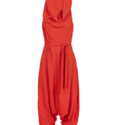 0001011_harem-pant-sleeveless-jumpsuit.png