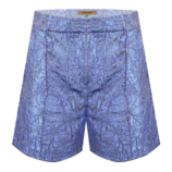 0001844_crinkle-metallic-shorts.png