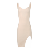 0002106_bodycon-mini-dress.png