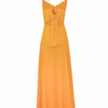 0002189_chiffon-backless-maxi-gown.jpeg