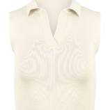 0002310_sleeveless-ribbed-crop-top.png