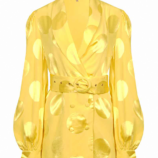 0002793_polka-dot-belted-satin-blouse.png