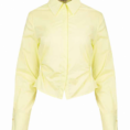 0002838_tailored-shirt-light-yellow_600 (1)