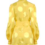 0003573_polka-dot-belted-satin-blouse.png