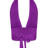 0003658_plunge-neck-halter-crop-top.png