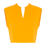 0002235_sleeveless-v-neck-crop-top.png