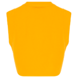 0002236_sleeveless-v-neck-crop-top.png