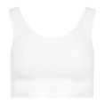 0002652_basic-crop-top_600