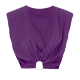 0002905_sleeveless-satin-crop-top.png