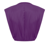 0002906_sleeveless-satin-crop-top.png