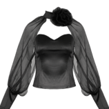 0002941_sheer-puff-sleeve-blouse.png